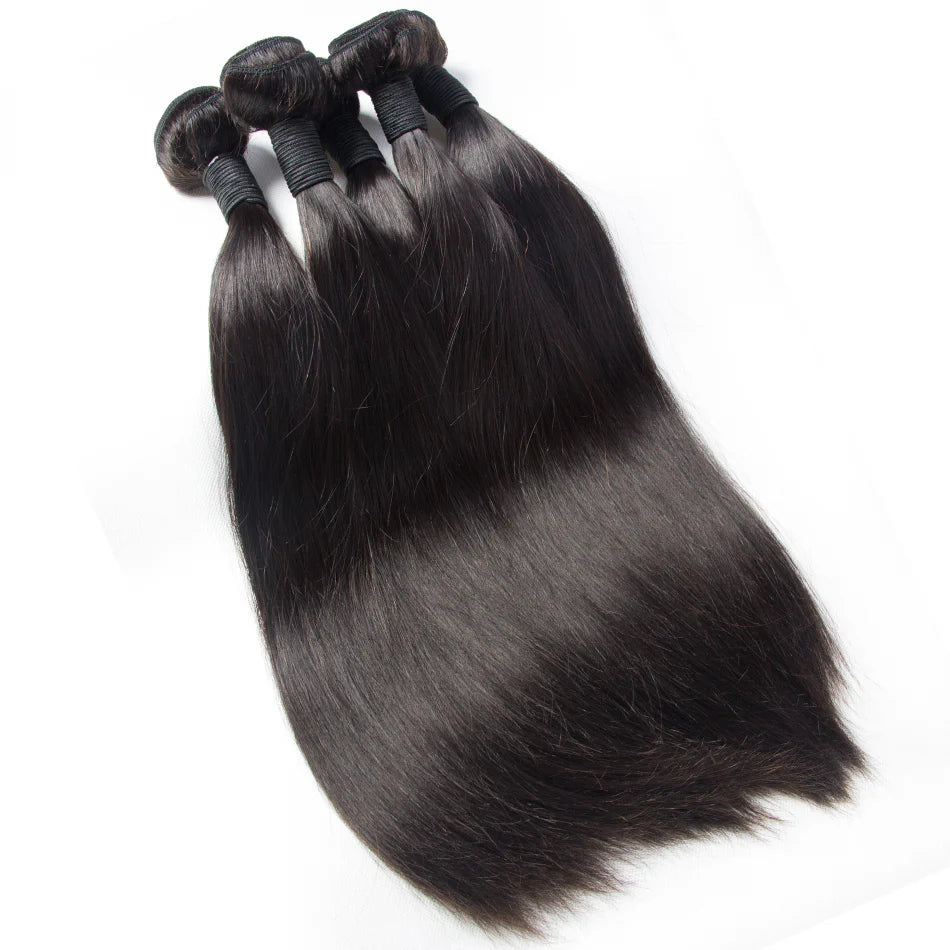 The Regal Silk
